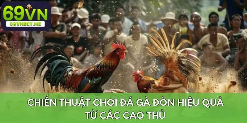 Chiến thuật chơi đá gà đòn hiệu quả từ các cao thủ