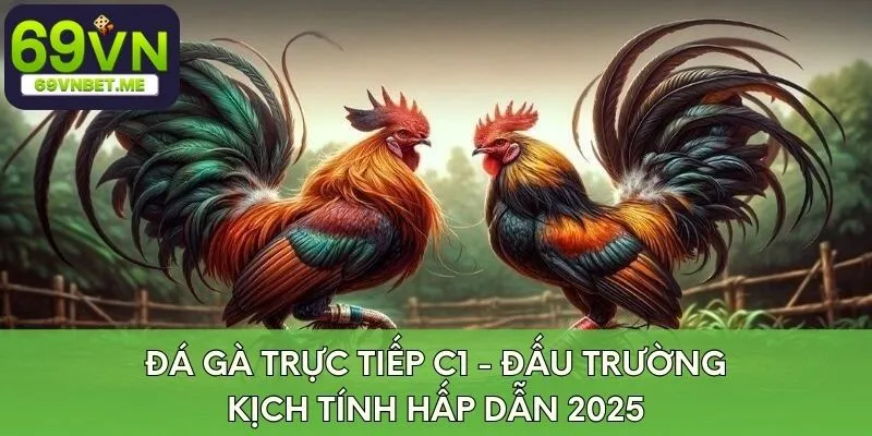 da-ga-truc-tiep-c1-dau-truong-kich-tinh-hap-dan-2025