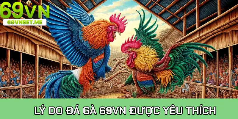 Lý do sảnh đá gà tại 69Vn được yêu thích